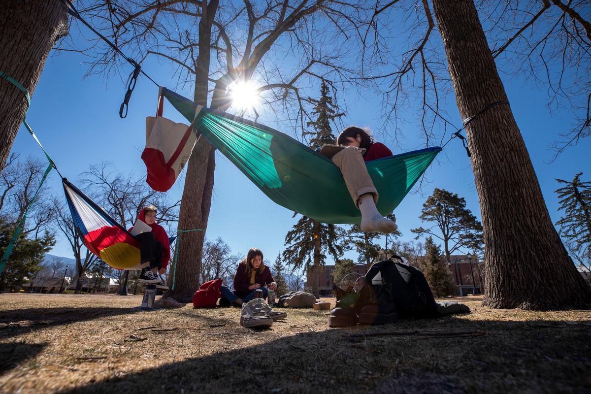 students-in-hammocks